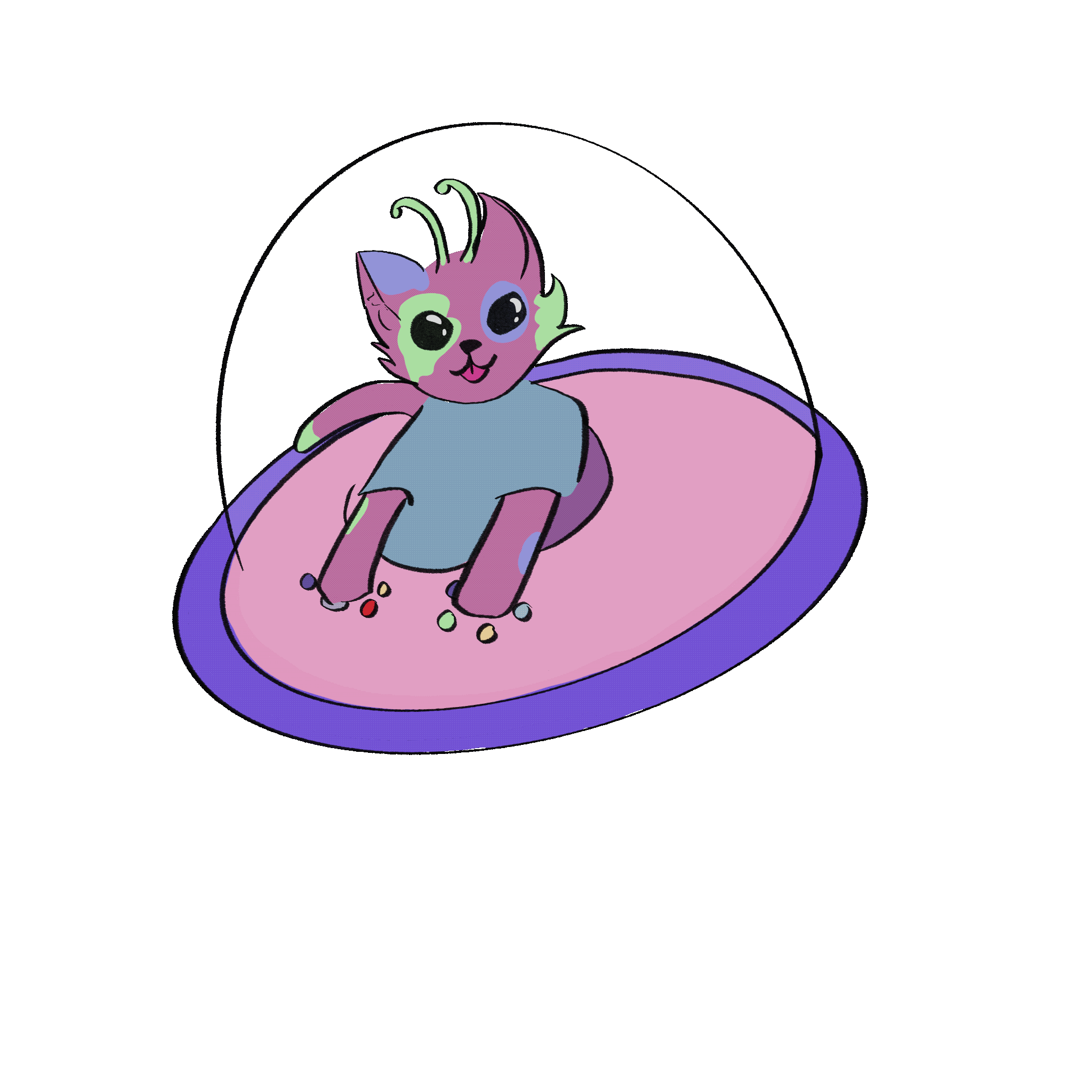 scrimblo the cat spinning in a UFO